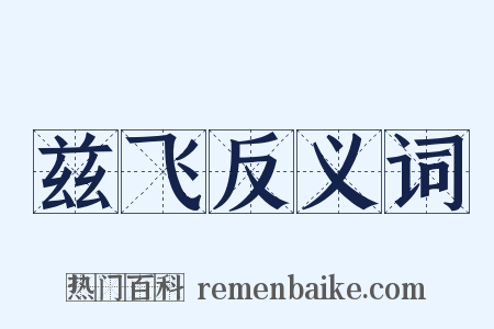 兹飞反义词是什么意思的图片